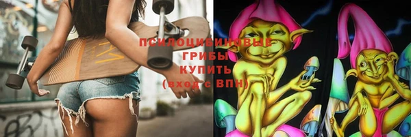 бошки Алексин