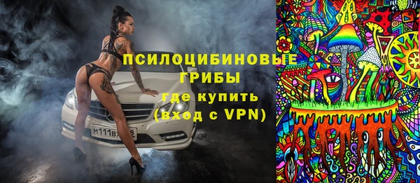 сатива Алексеевка