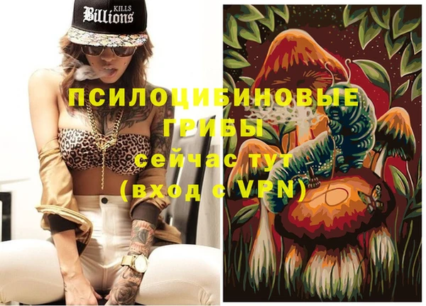 сатива Алексеевка