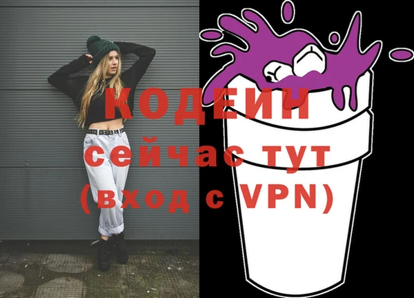 дурь Каменка