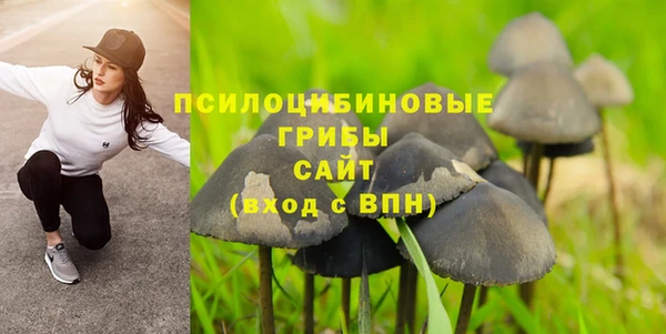 сатива Алексеевка
